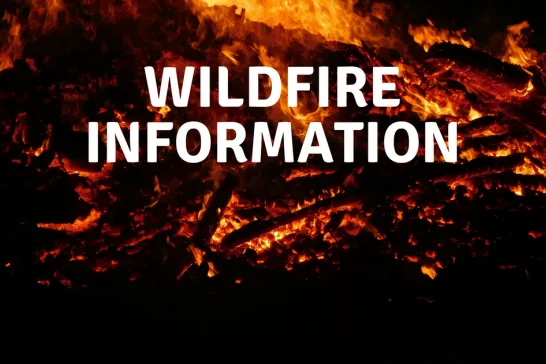 WILDFIRE INFORMATION