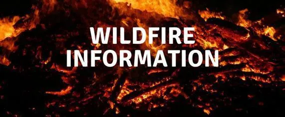 Wildfire Info