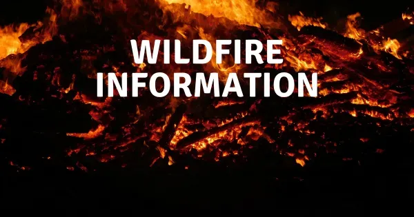wildfire info