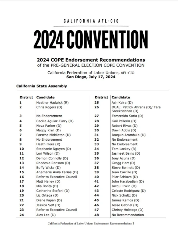 2024 Convention CA Recommendations